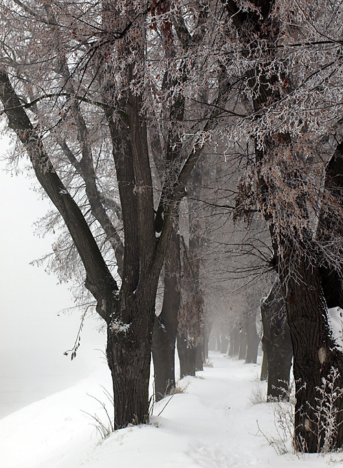 Mrazivý prosincový den
