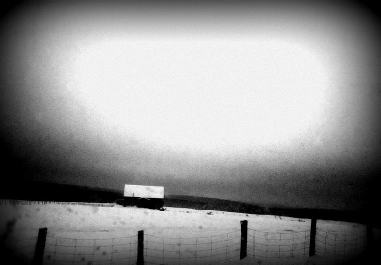 ...... a vivid white ...