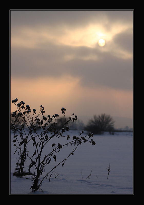 ...pichlavý západ...