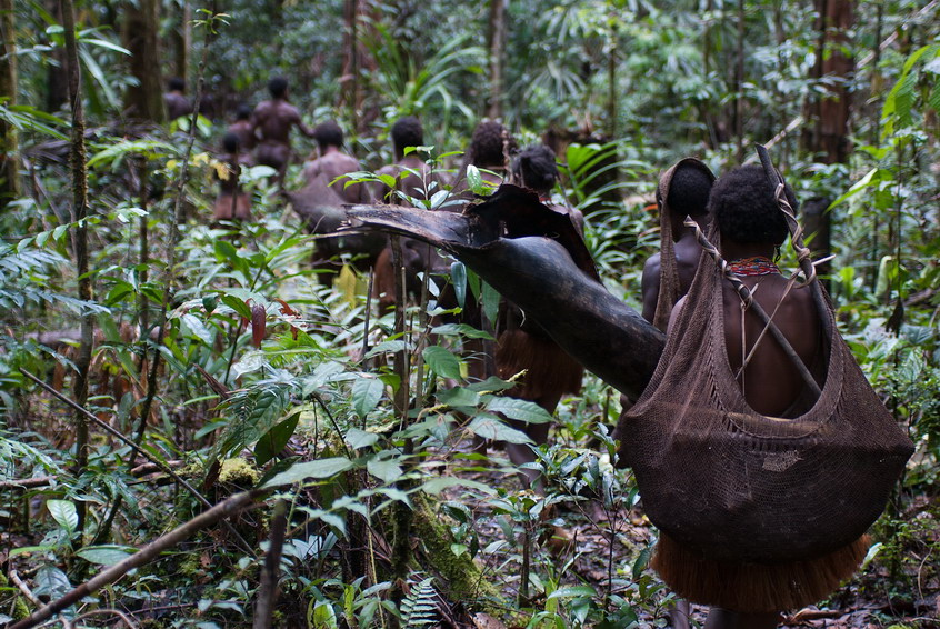 Korowai GO