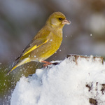 kde se zase couráš babo jedna...
