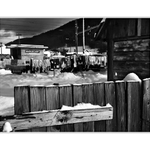 Vlaky prichádzajú, vlaky odchádzajú