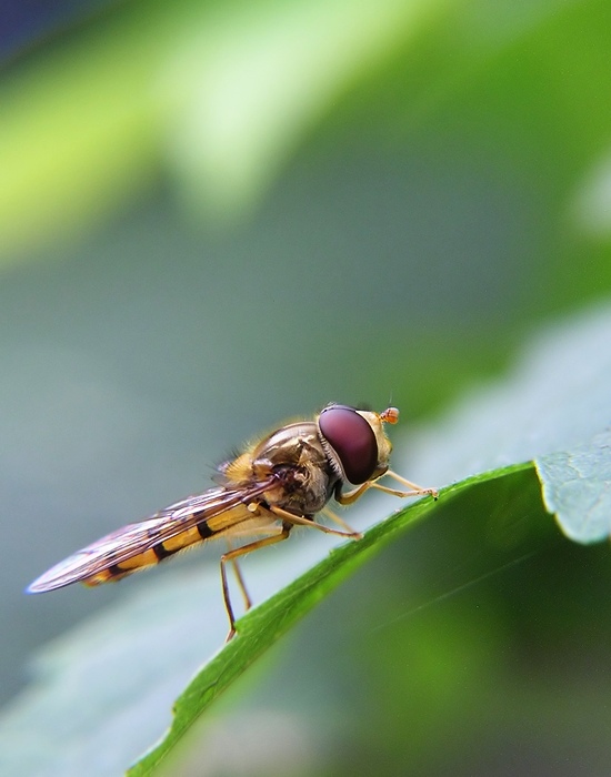 Příprava ke startu