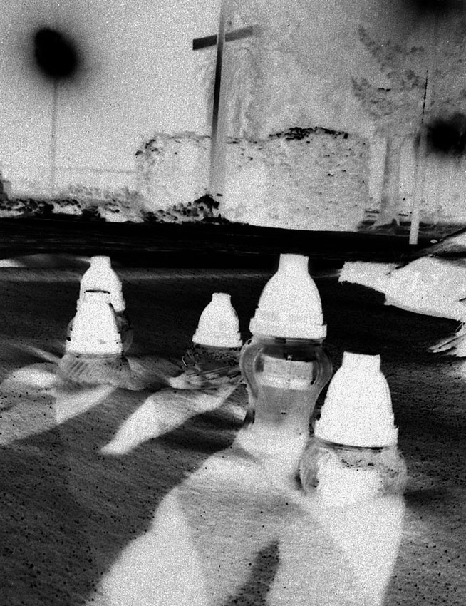 Mochomůrky bílé.....