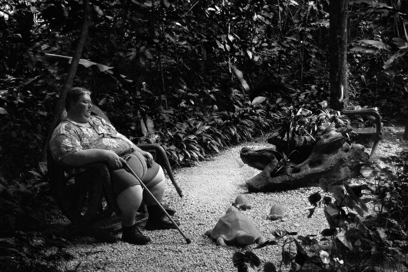 Siesta