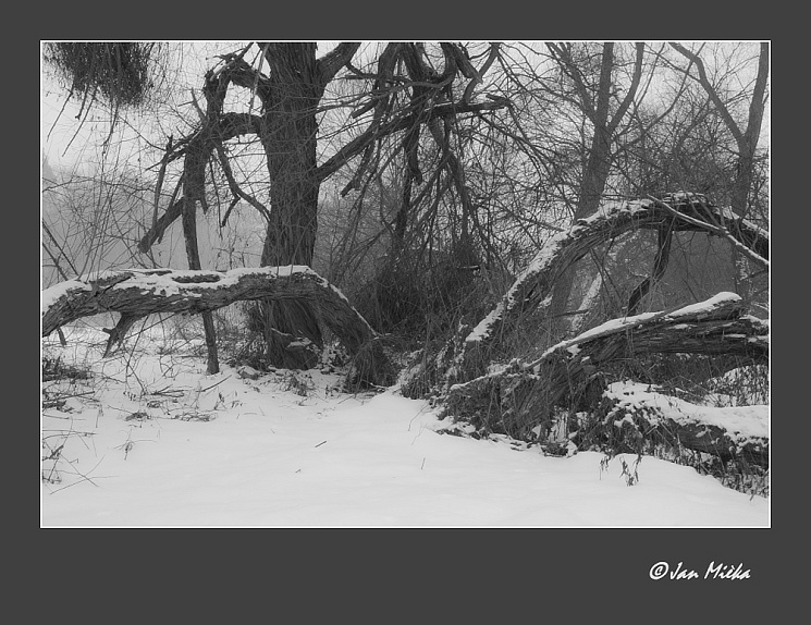 u Jizery na Silvestra rano