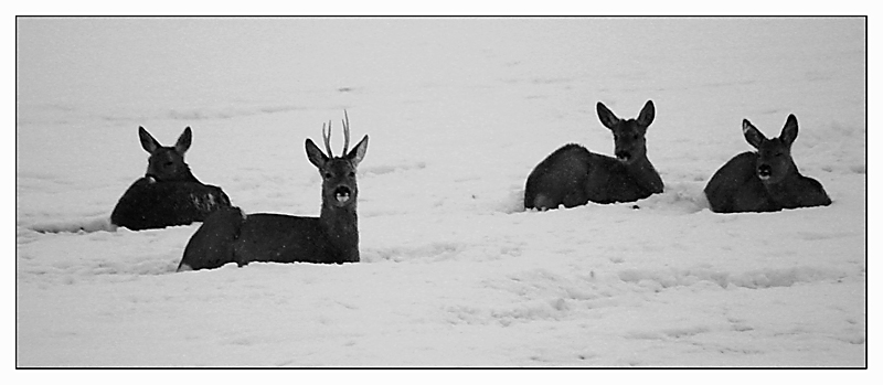...kdy už to skončí...