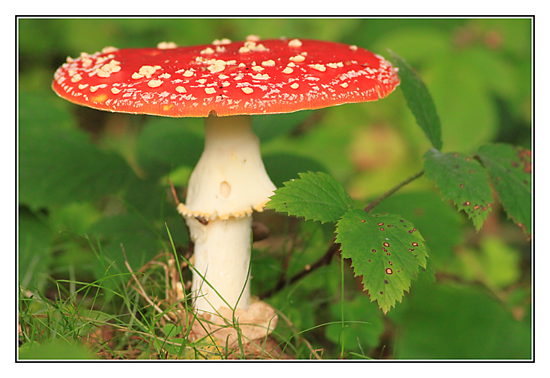 ...můžu já být nebezpečná???...