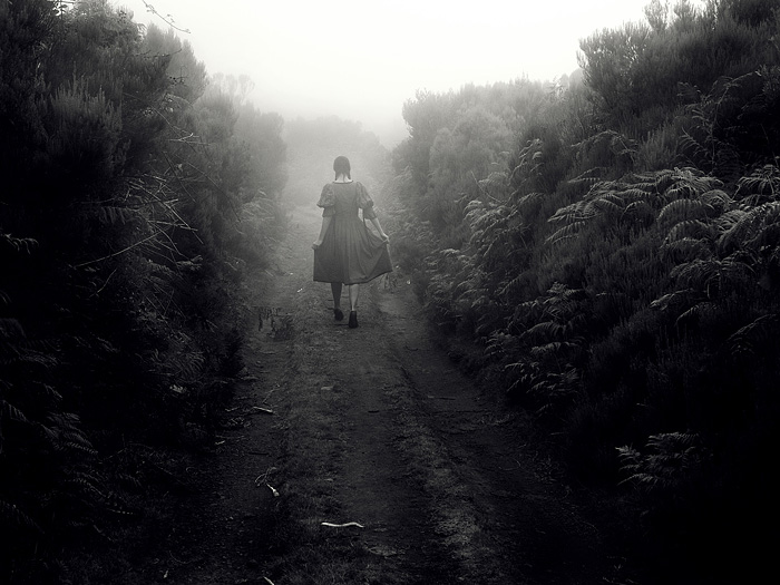 Foggy Dew