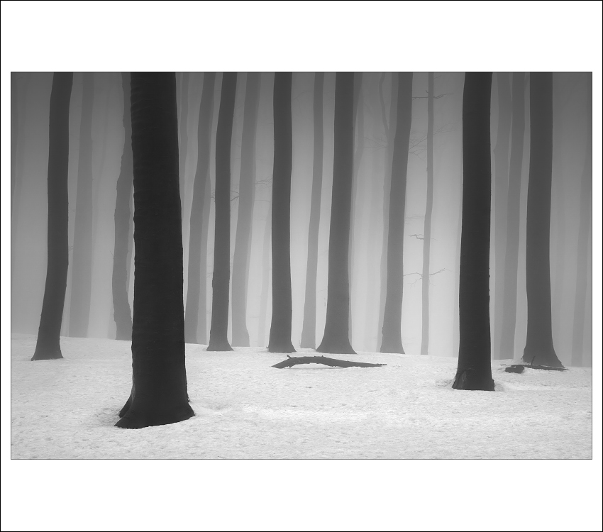 karpatské hmly III.