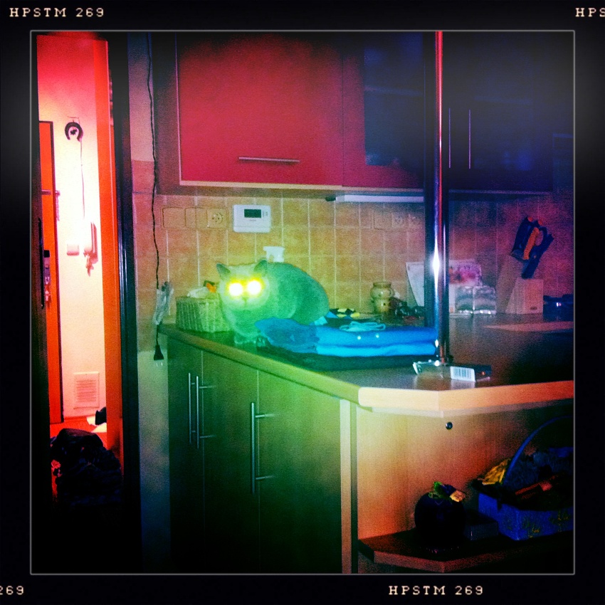 (cat)ch U