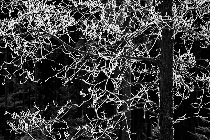 esteticky přijatelná zima