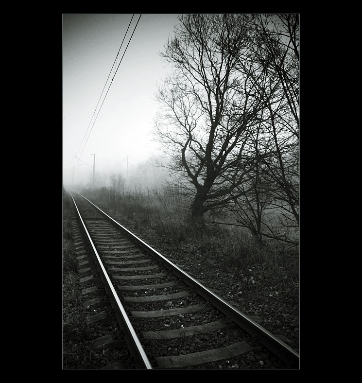 Ve výtvarném pojetí