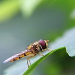 Příprava ke startu