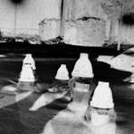 Mochomůrky bílé.....