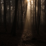 Cestičkou do jara....