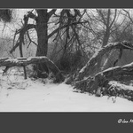 u Jizery na Silvestra rano