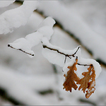 ...nezapoměly jsme náhodou spadnout...???...:-)