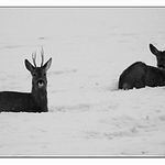...kdy už to skončí...