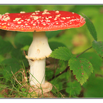 ...můžu já být nebezpečná???...