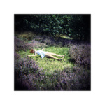 Poetika sexualniho nasili