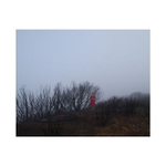 Ohen v olivovem sadu