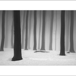 karpatské hmly III.