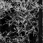 esteticky přijatelná zima