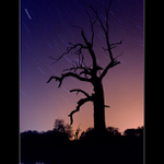 Noční Černé louky