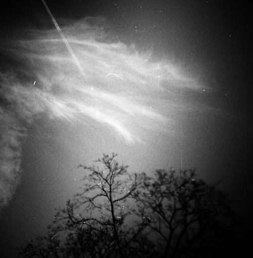 One Flew Over the Cuckoo's Nest