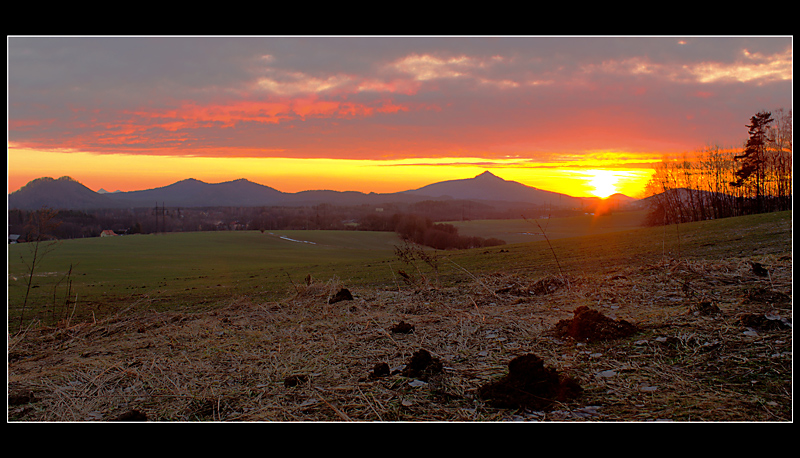 ...krtek stavitel v Českém středohoří...