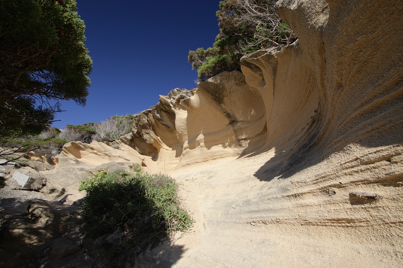 Sardegna 2010