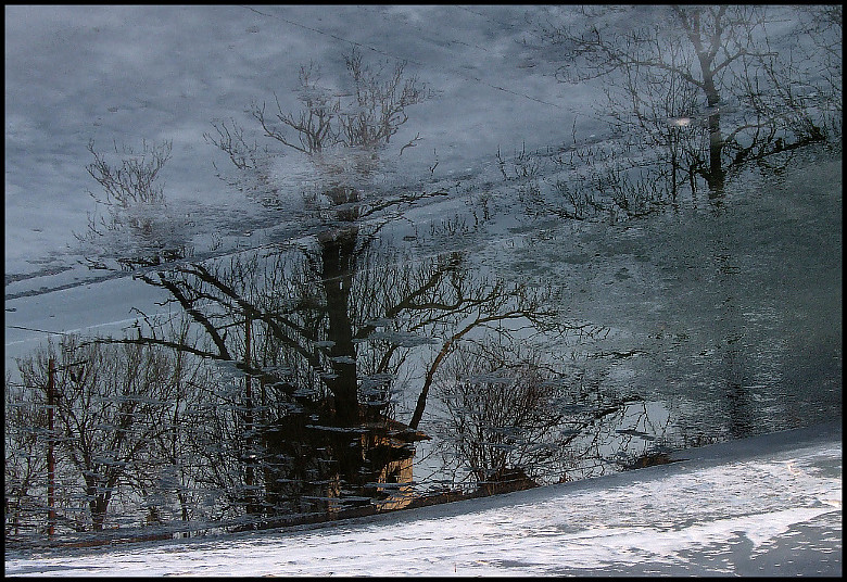 Co najdeš v řece 2