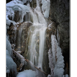 V raji momentálne mrzne