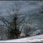 Co najdeš v řece 2