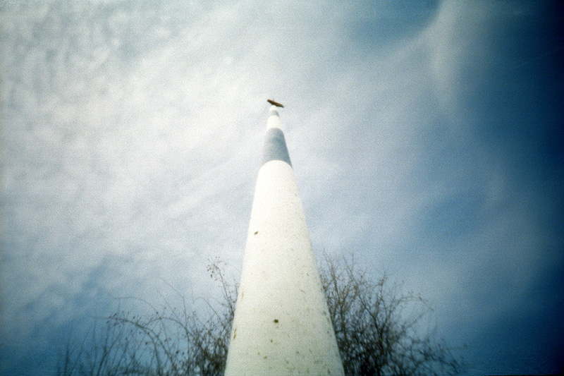 cedulka