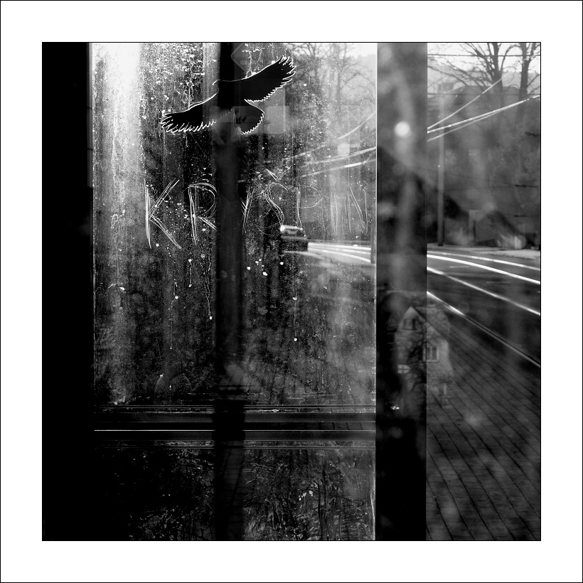 určitě šťastný Kryšpín