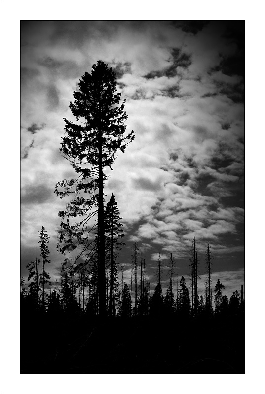 ze šumavského výletu...