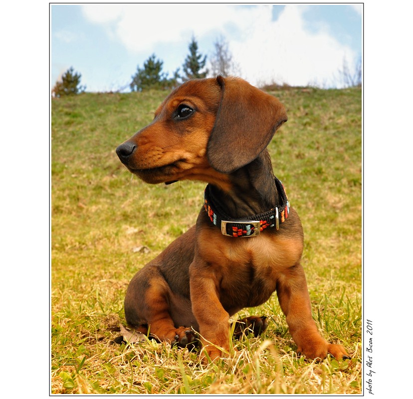  ... Koukáme, kde co lítá ...