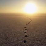 kam jdeš ty, člověk