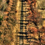 Cesta od někud někam