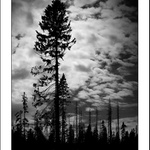 ze šumavského výletu...