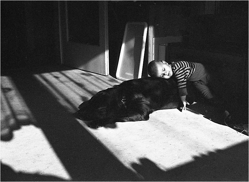 siesta