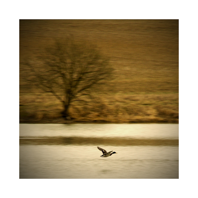 těsně nad vodou...