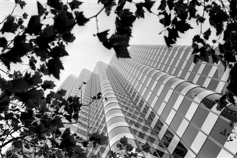 San Francisco III