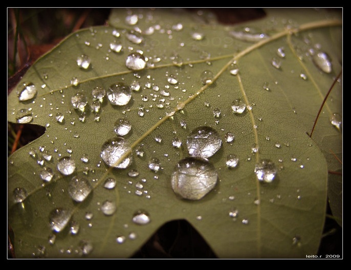 Rainy Day