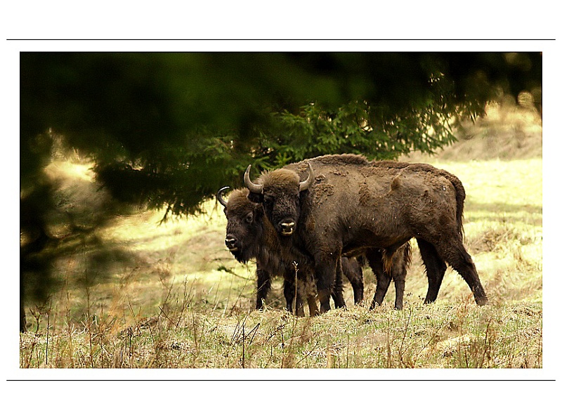 ...první setkání...