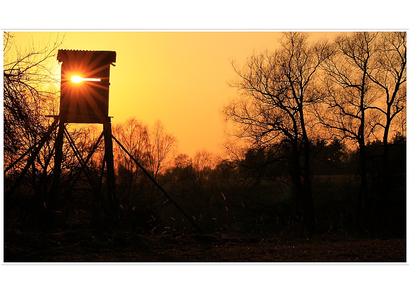 ...ještě chviličku posedím a mizííím...