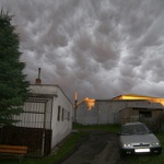 Kriminál, Felda a konec světa