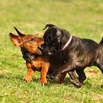 ... Jake a Izabella ...